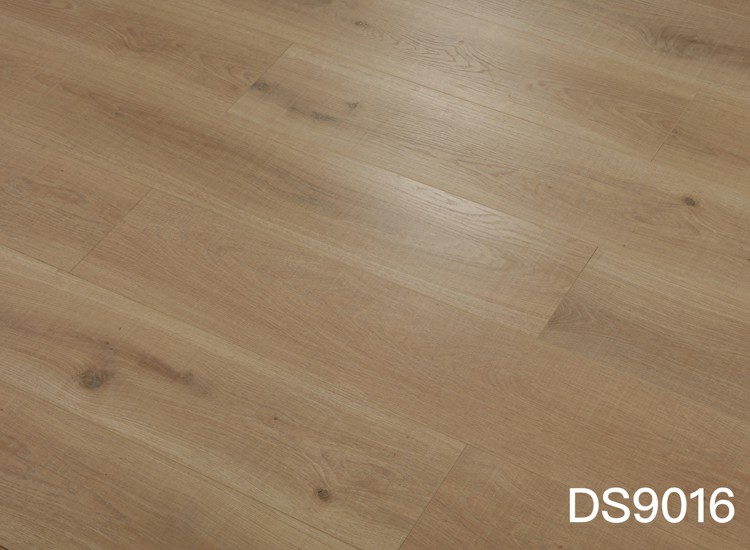DS9016